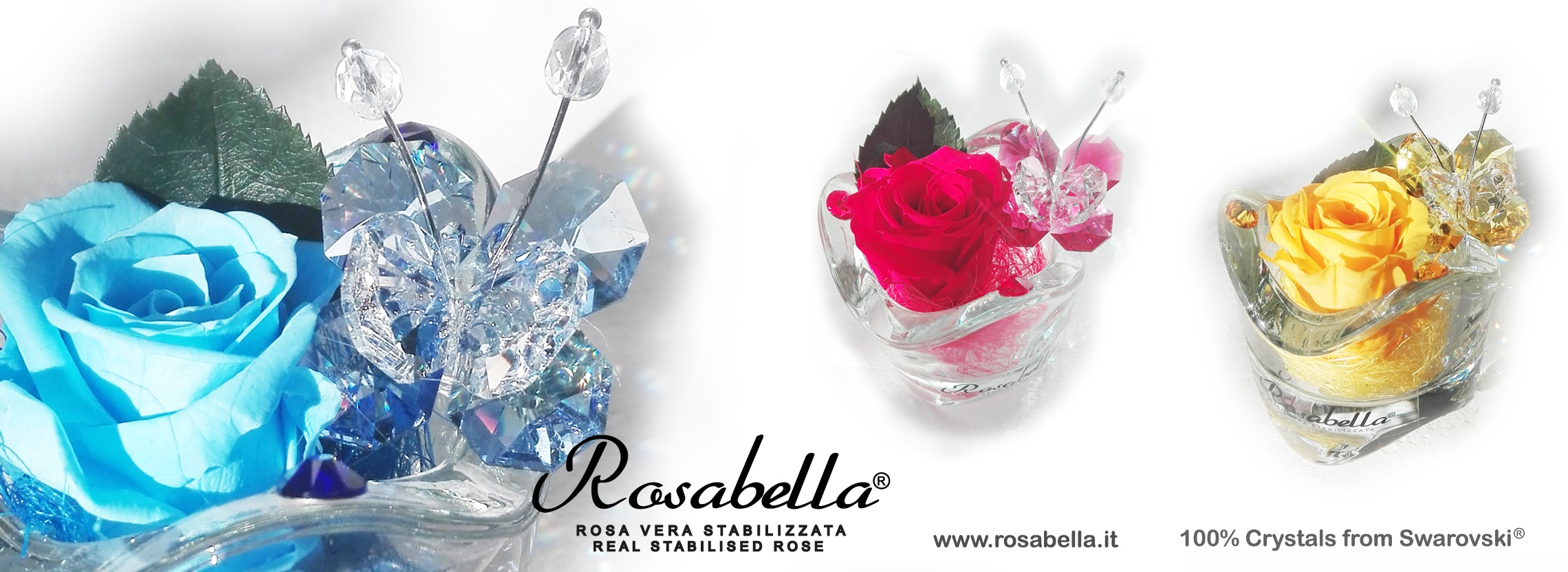 Novità 2015 - ROSABELLA® - l'originale Rosa Vera Stabilizzata, la tua Rosa  Gioello
